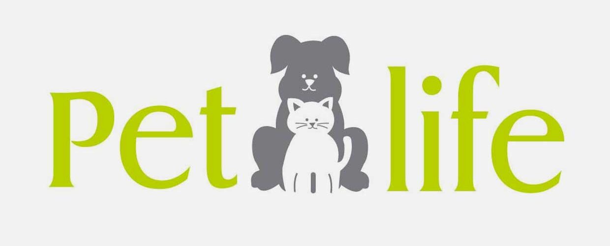 PetLife - Construcción de stand